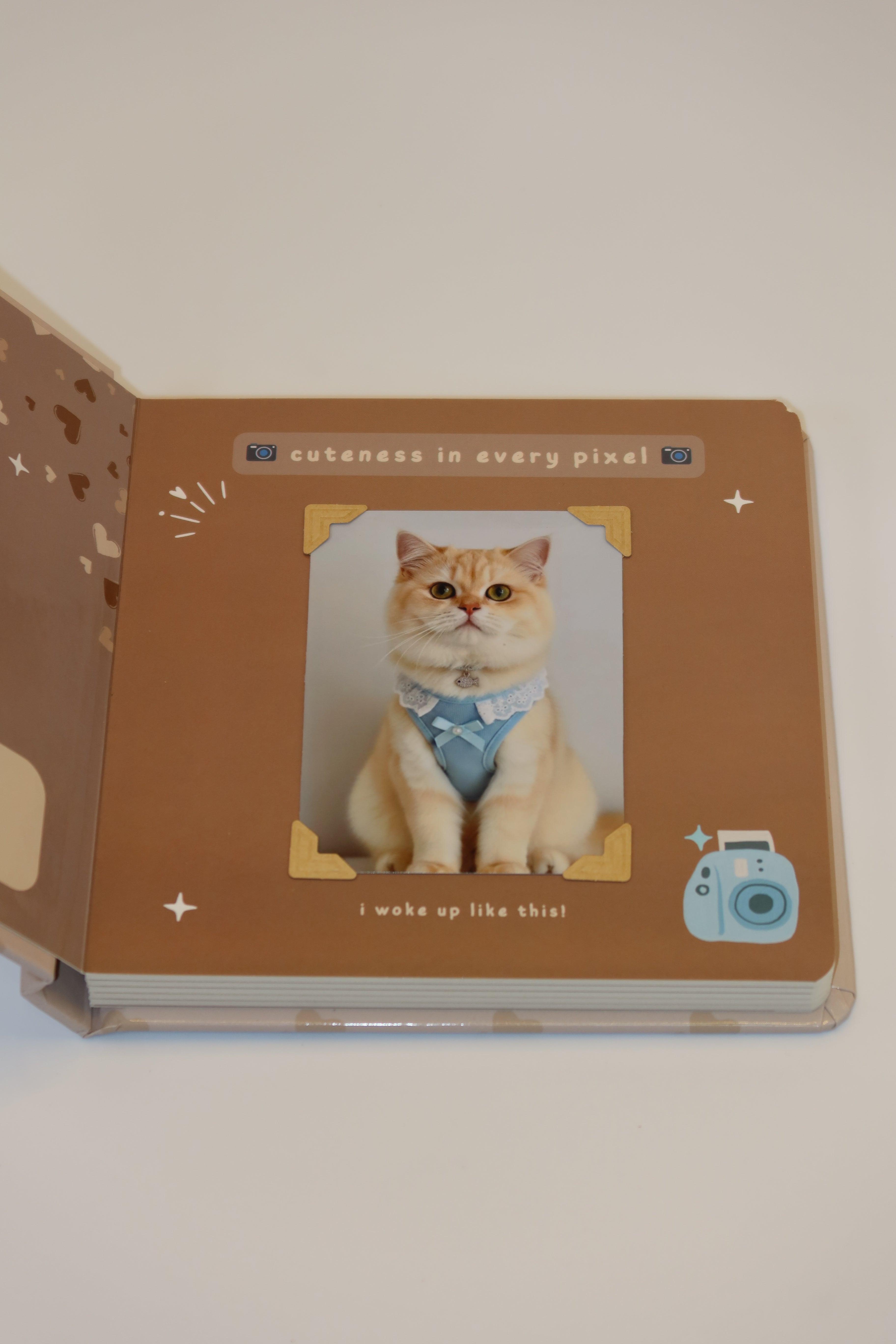 The Furever Book (Cat Edition)