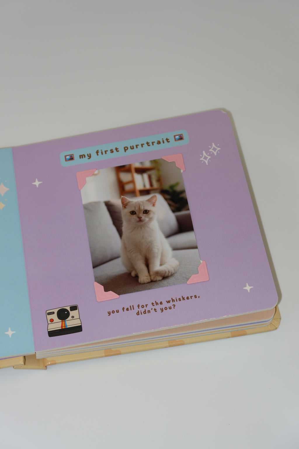 The Furever Book (Cat Edition)